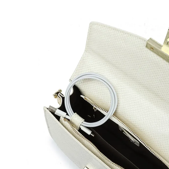 Chic Design Handbag BD 139