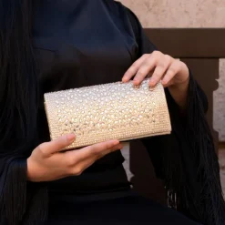 Gemstone Party Clutch AD 149