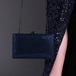Sparkling Crystal Embellished Clutch AD 120